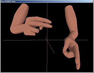 hands